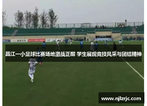 昌江一小足球比赛场地激战正酣 学生展现竞技风采与团结精神